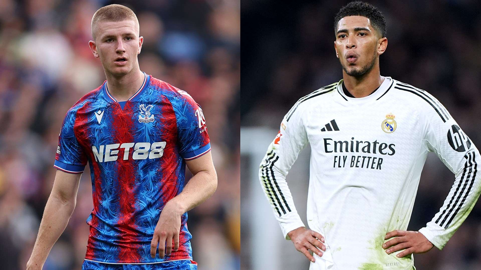 青島隊提供 青島隊提供