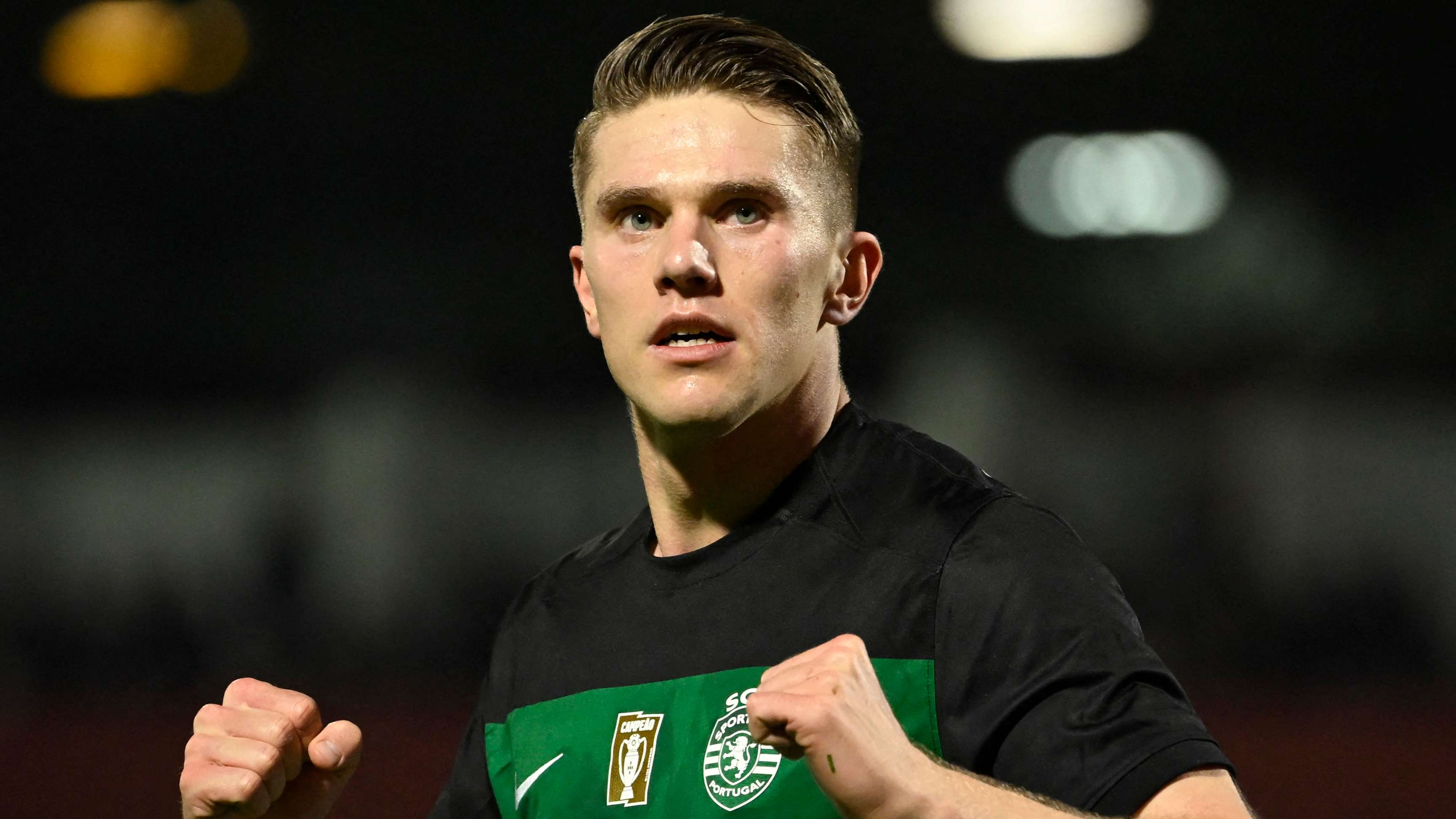 稳定的发挥 稳定的发挥