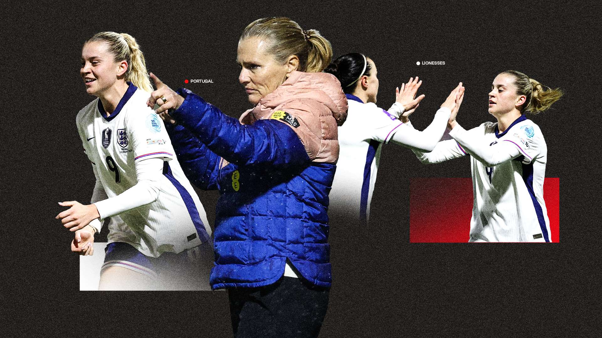 黄蜂与鹈鹕 黄蜂与鹈鹕